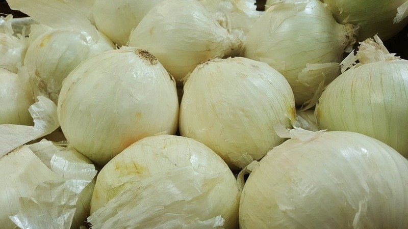 white onion