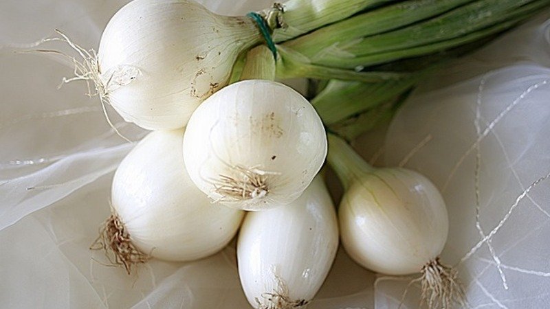 white onion